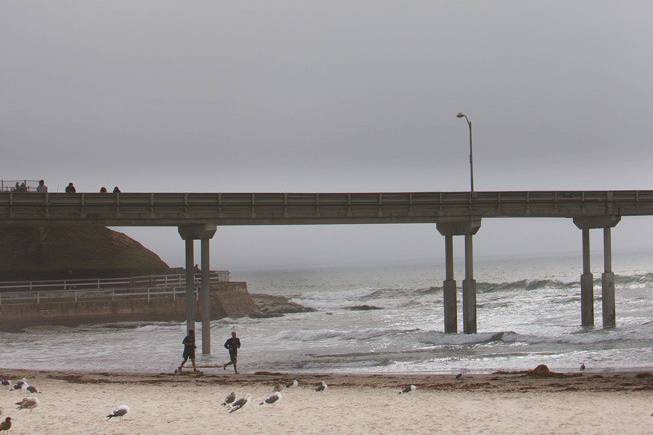 A true story as it unfolded. She was completely unaware the photographers on the pier were capturing the once in a lifetime event. We were able to get each of their reactions.