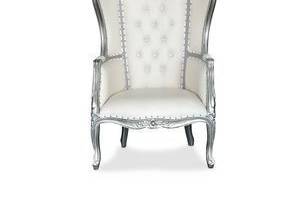 Silver Canopy Throne Chair