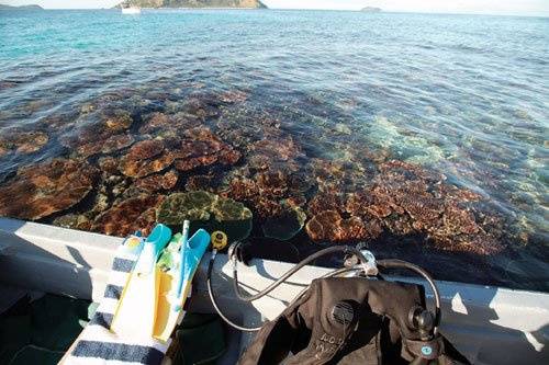 Matamanoa DivingNestled in the Mamanuca Island group, Matamanoa is surrounded by pristine coral reefs that are marine sanctuaries.