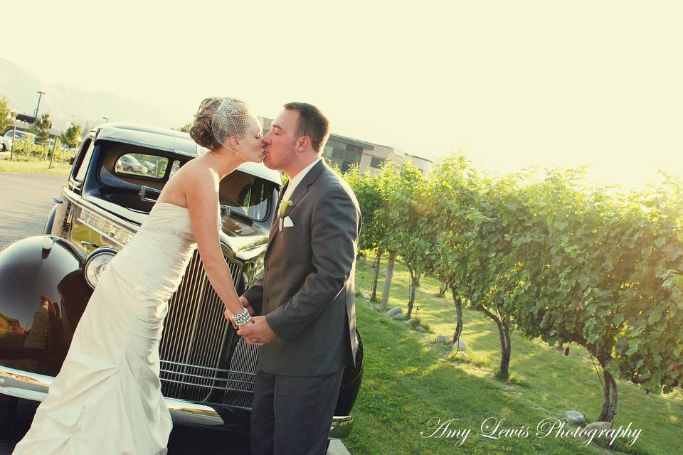 Summer Wedding in Vineyard