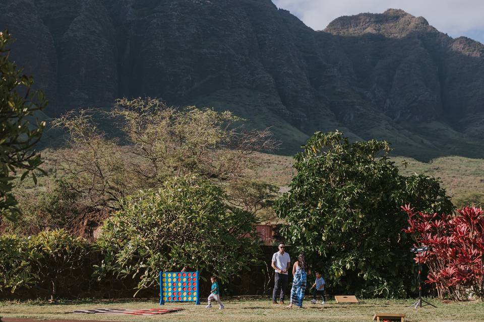 Lawn game area