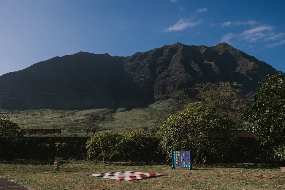 Lawn games