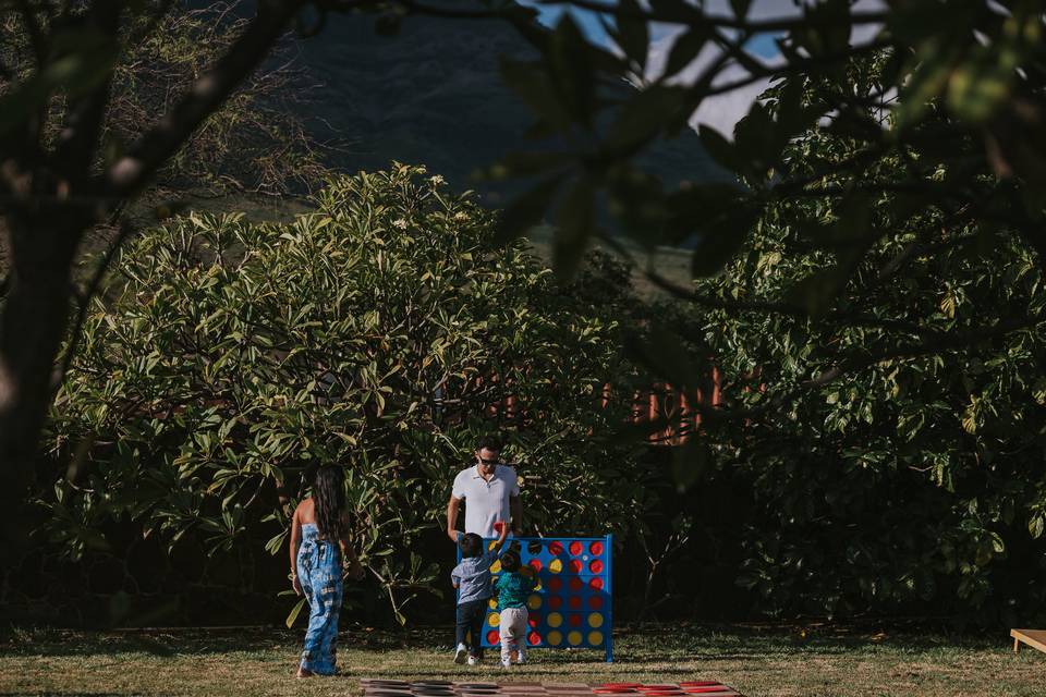 Family-lawn game