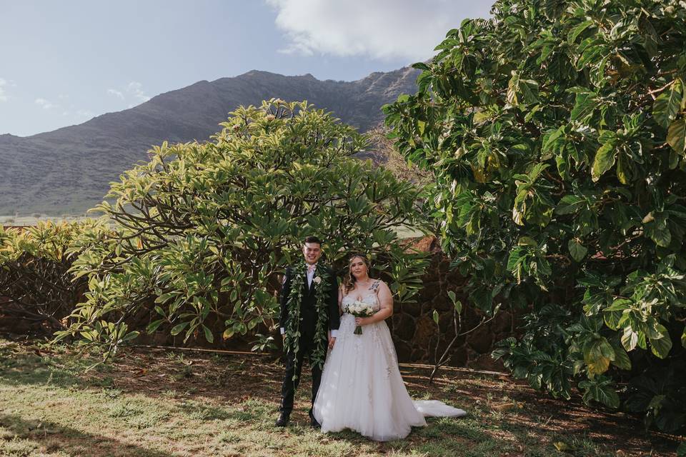 Kila B&G in trees