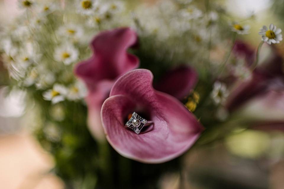 Robinswood House Bellevue Wedd