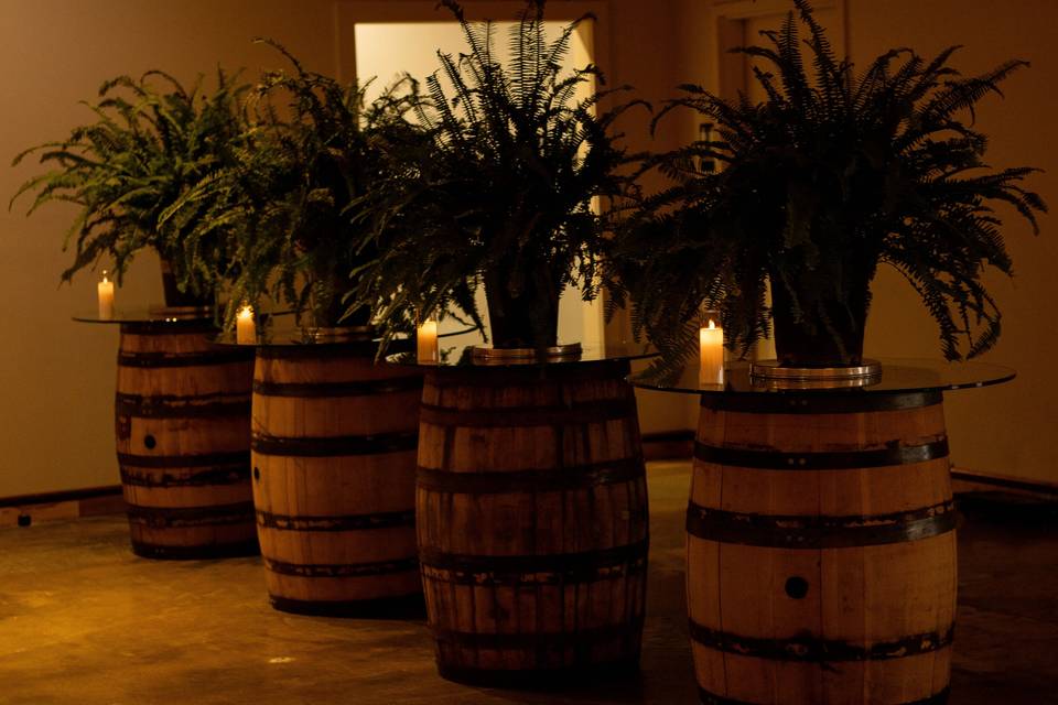 Barrels with plants for divide