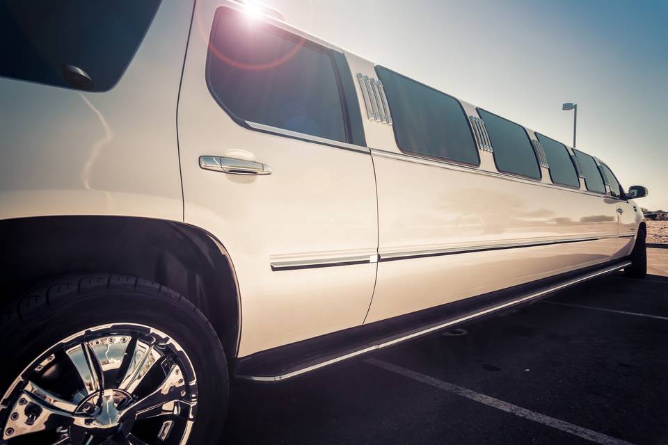 16 passenger Stretch Limo