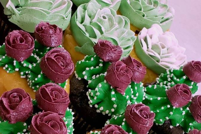 Succulent Cupcakes