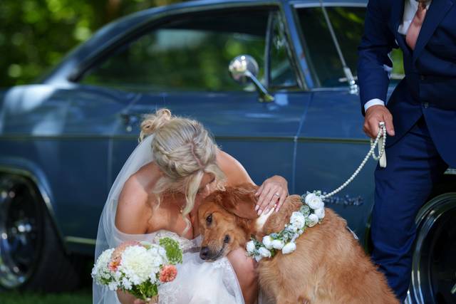 Wedding couple