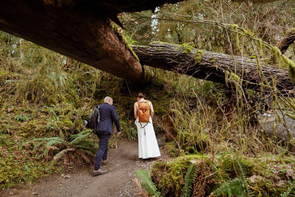 PNW Wedding