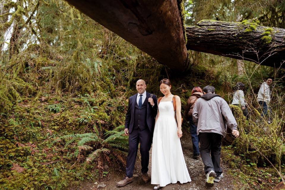 PNW Wedding Photographer