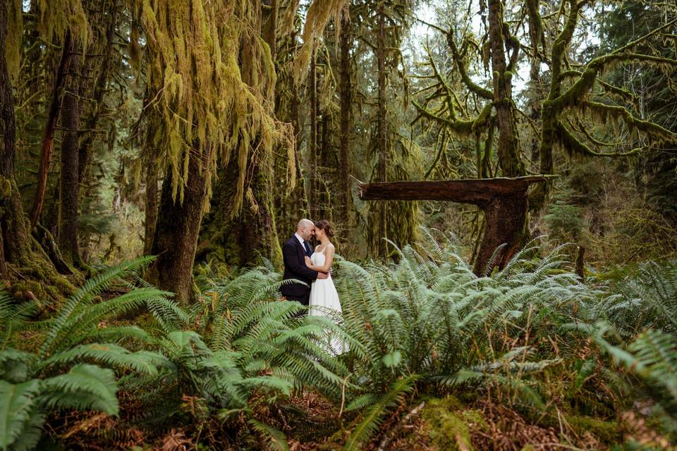 PNW Wedding Photographer