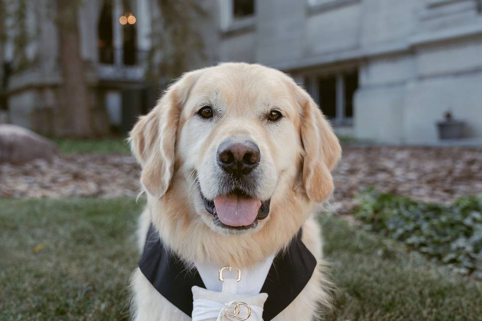 Cincinnati Wedding Photography