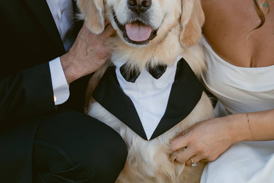 Cincinnati Wedding Photography
