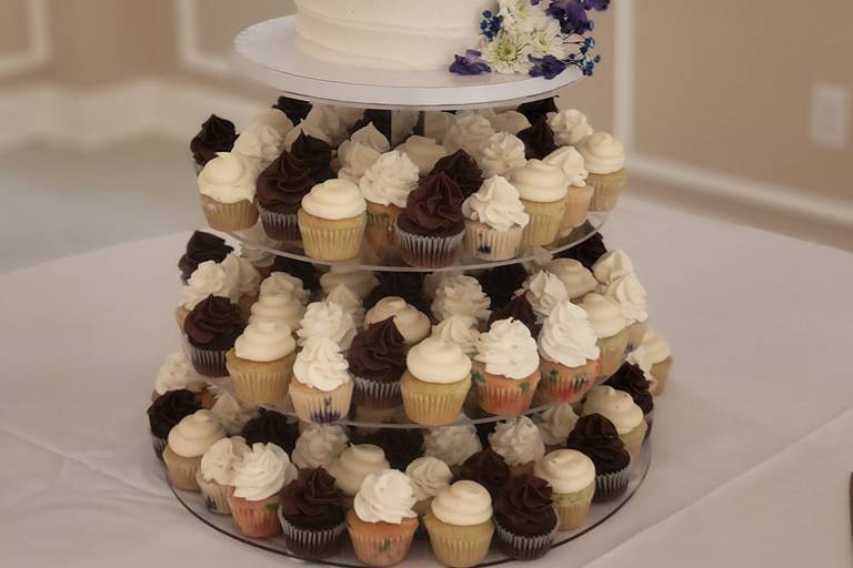 Cake and Cupcakes