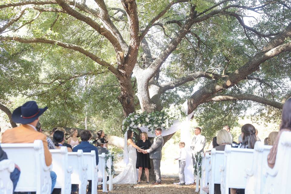 Outdoor Ceremony