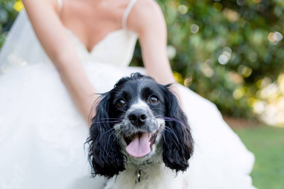 Ring Bearer