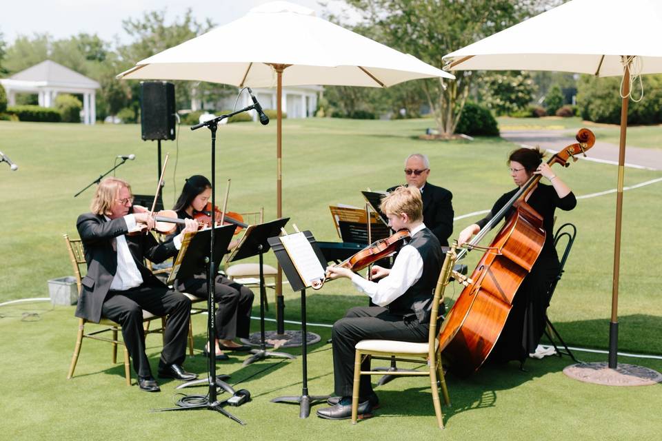 Orchestra on the Lawn