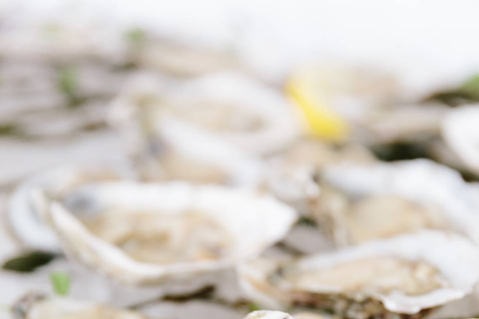 Oyster on Half Shell