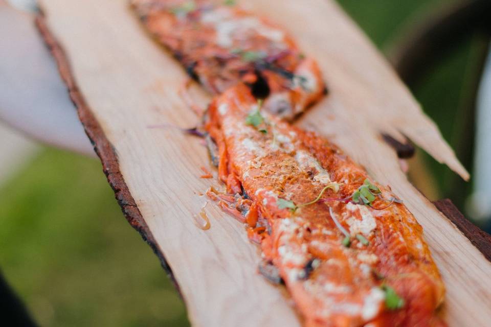 Salmon