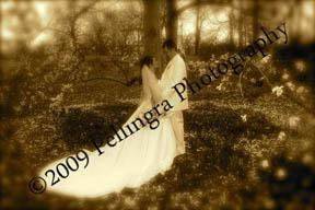 Joseph Pellingra Photography