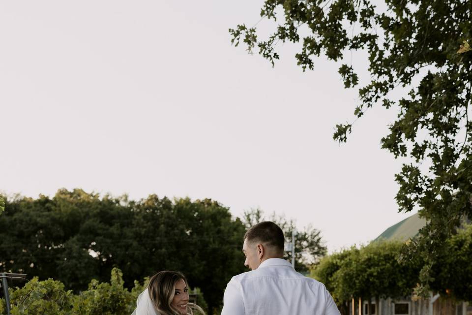 Elopement at Waddell Vineyards