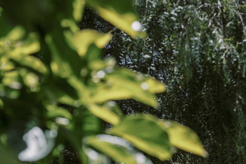 V + Z 6.1.24