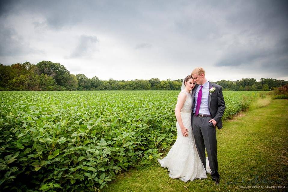 Modern Brides