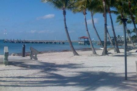 Key West Island Steel Drums