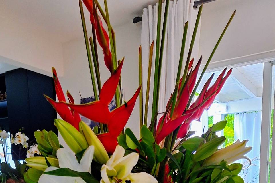 Red and White