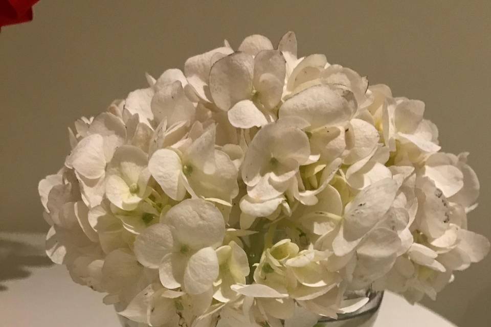 White Hortensia mini vase