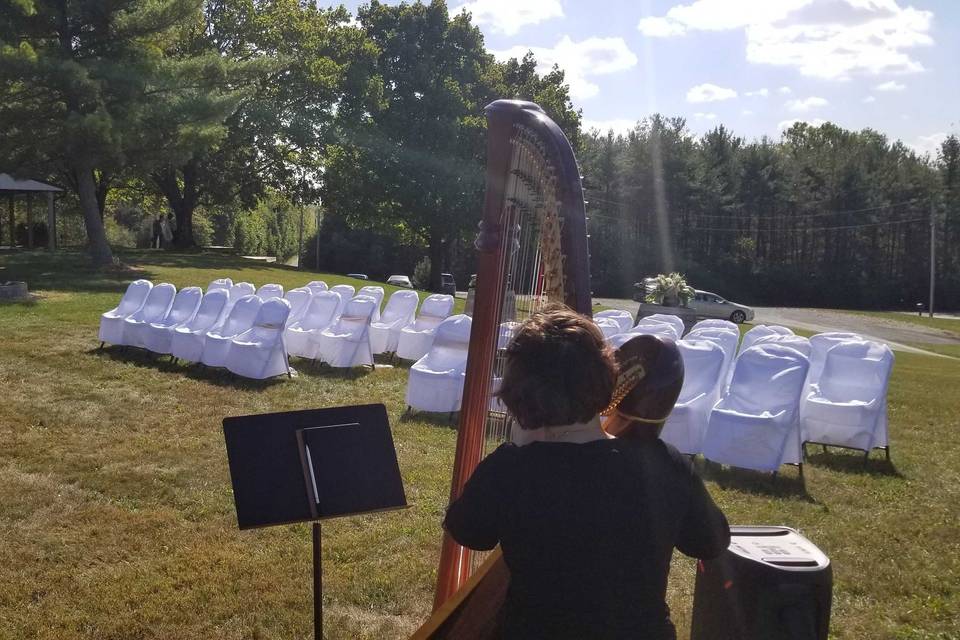 Wedding