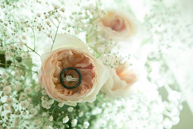 Radiant Images Photography
