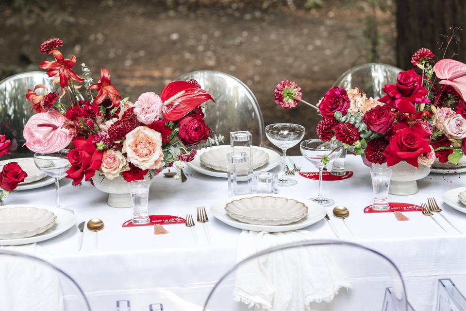 Outdoor feast