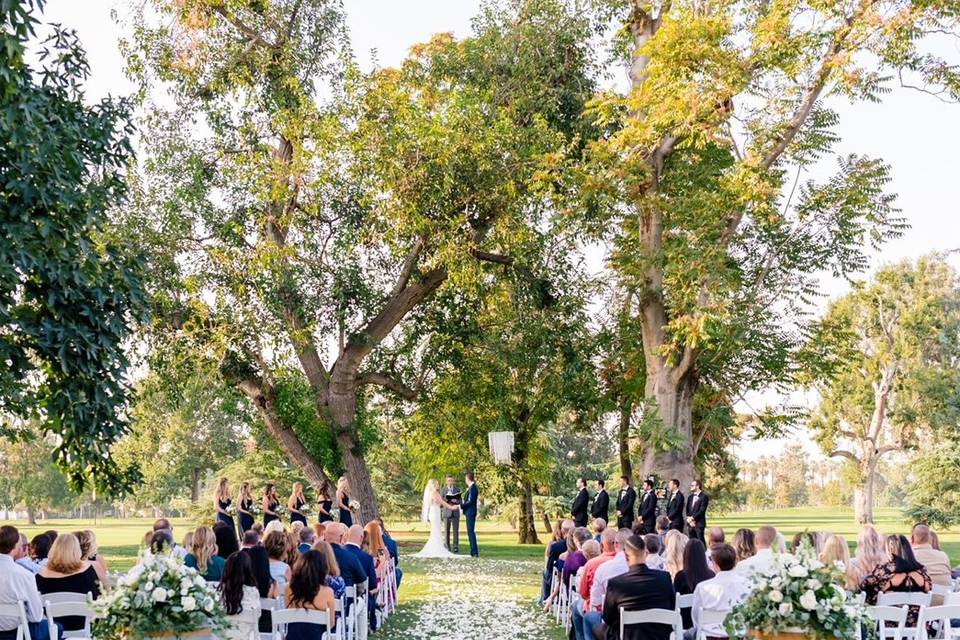 Walking down the aisle