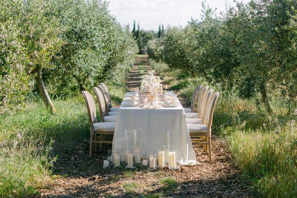 Olive grove table