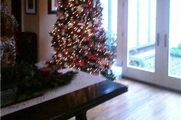 Christmas Tree in Reception Area at a Home Reception