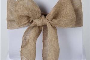 Southern Sass Events