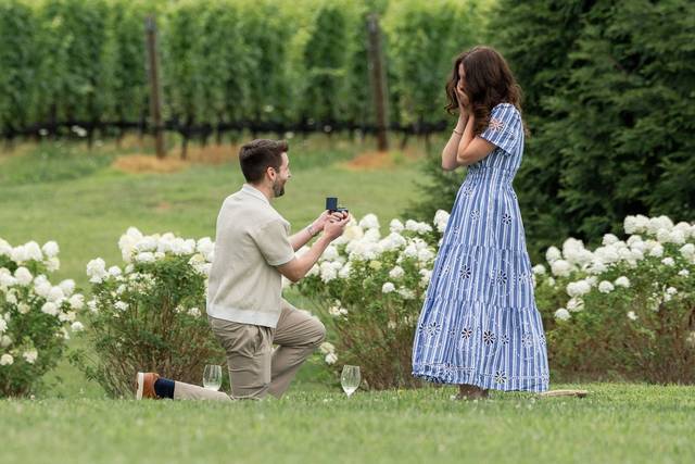 Surprise Engagement