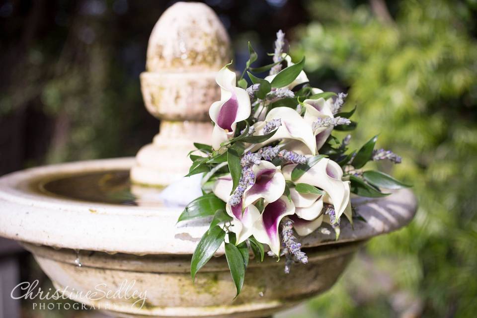 Flowers by the fountain