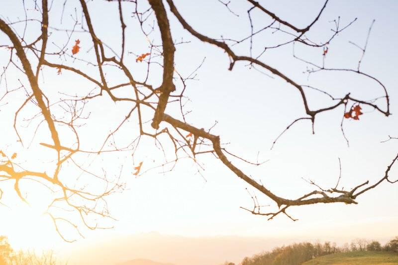 Sunset Elopement