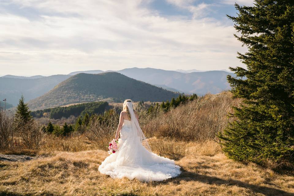 Bridal Portraits