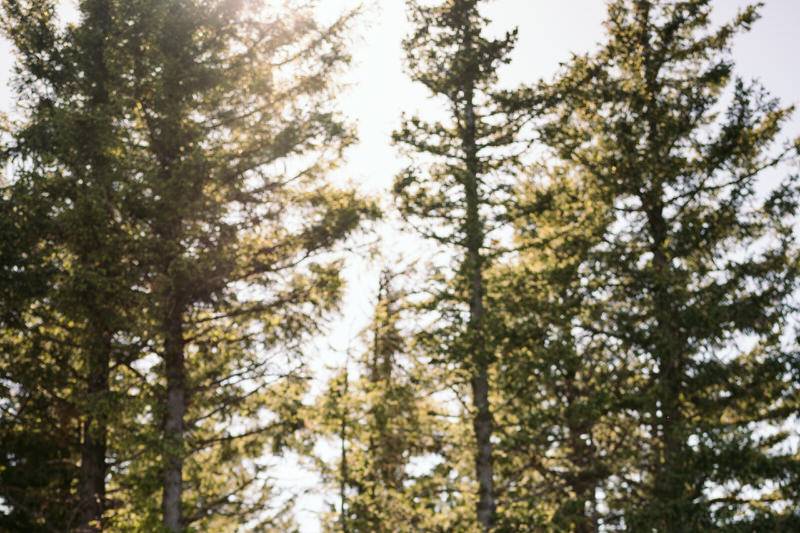 Orcas Island Elopement