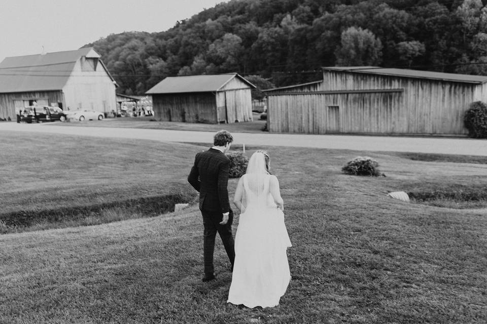 Overlooking the farm