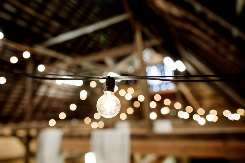 Reception Lighting