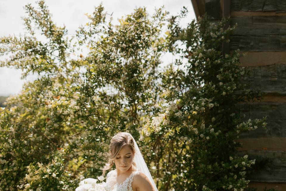 Bridal Portraits