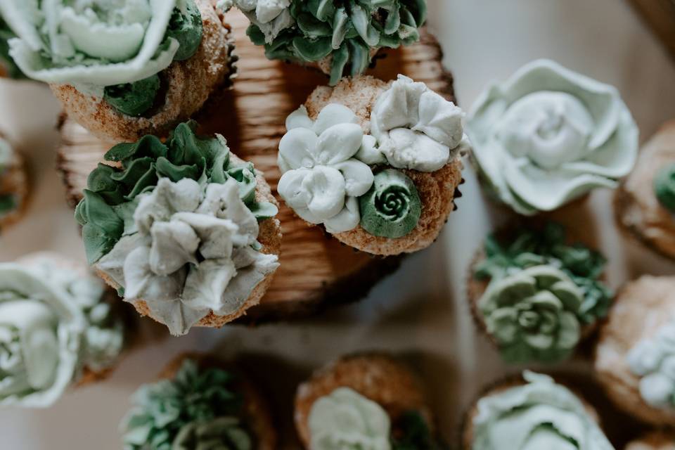 Succulent-inspired cupcakes