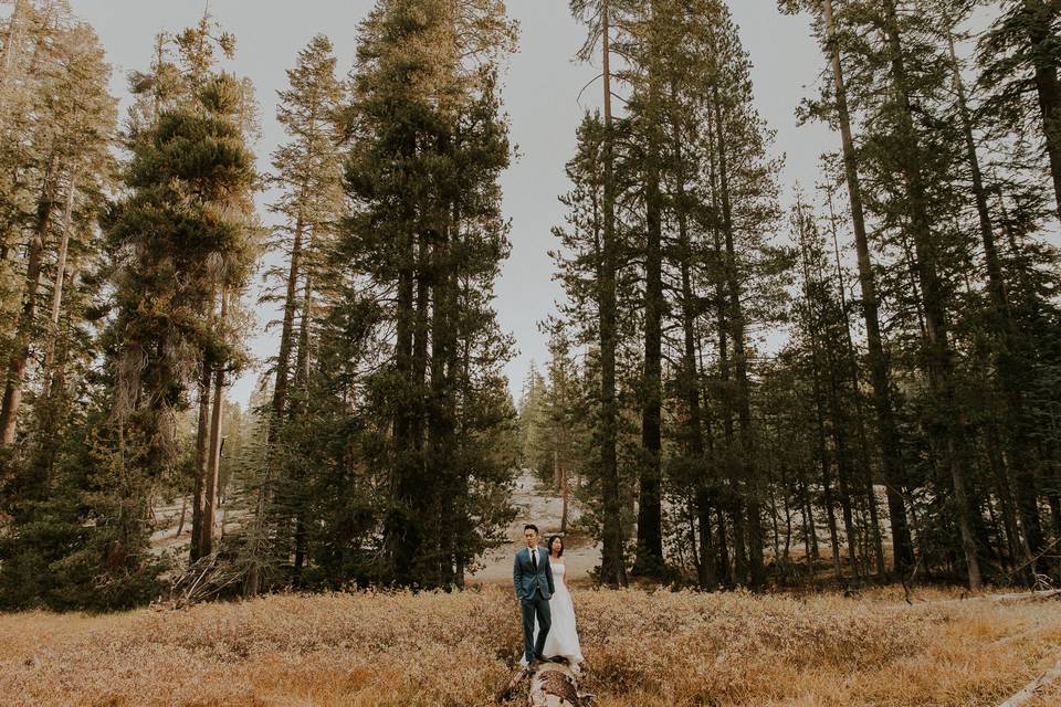 Yosemite Elopement