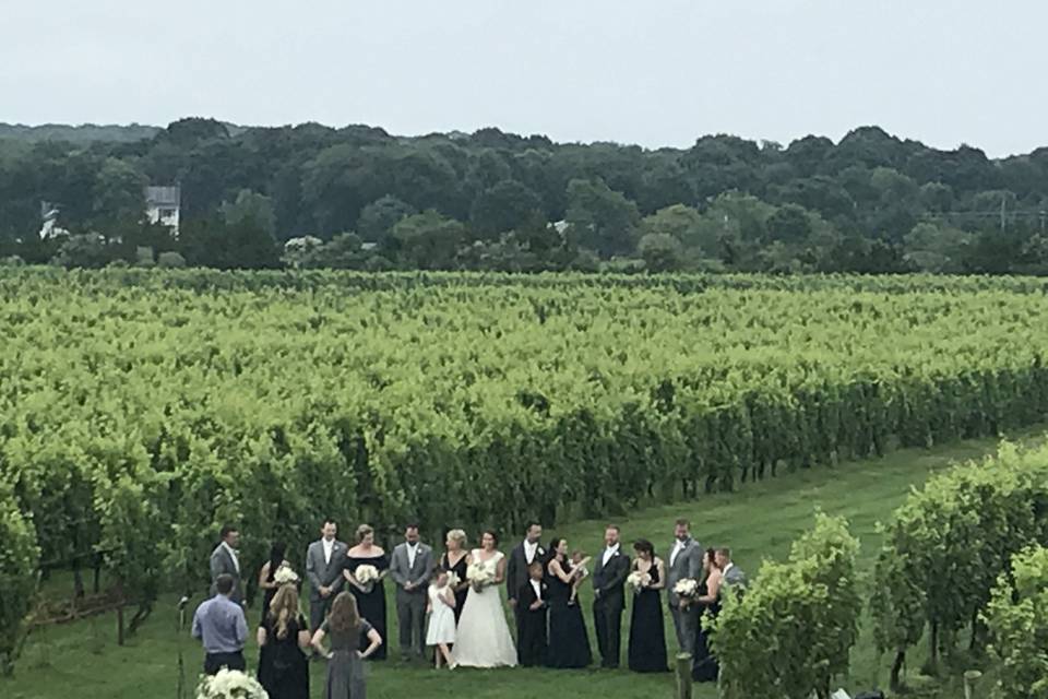 Wedding party from afar