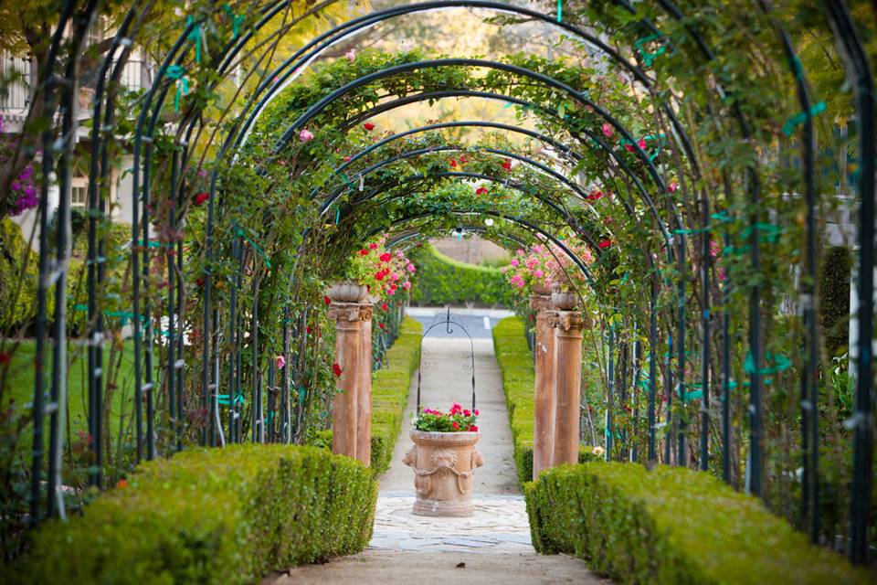 Rose Arbor